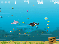 Big Fat Dolphin - Play Free Online Hunting Games